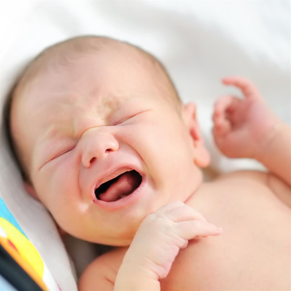 BABYTAAL - Ontdek hoe je de behoeften van je baby kan herkennen - REEDS vanaf de zwangerschap @ ZWANGER IN BRUSSEL